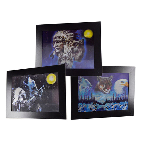 Native Indian V 3D Picture PTI05