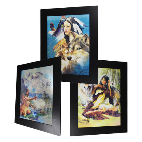 Native Indian V 3D Picture PTI04