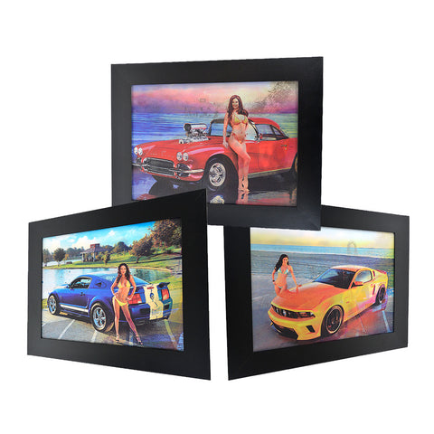 Car Model 3D Picture PTP14