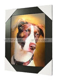 Dogs 3D Picture PTD14