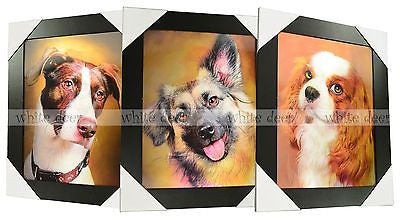 Dogs 3D Picture PTD14