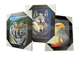 Tiger Wolf Eagle 3D Picture PTD37