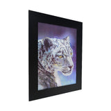 Snow Cheetah 3D Picture PTD02