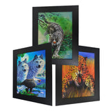 Wolf Eagle Tiger & Cheetah 3D Picture PTD05