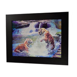 Tiger 3D Picture PTD20