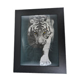 Cheetah Lion Tiger 3D Picture PTD24