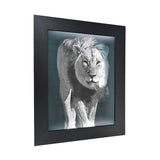 Cheetah Lion Tiger 3D Picture PTD24