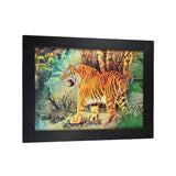 Asian Tiger 3D Picture PTD39