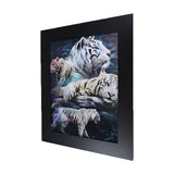 White TIger & Cheetah 3D Picture PTD48
