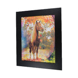 Horse 3D Picture PTD50