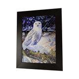 Owl I 3D Picture PTD64