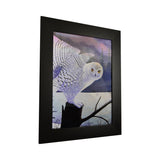 Owl I 3D Picture PTD64