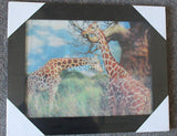 Deer Giraffe 3D Picture PTD27-1